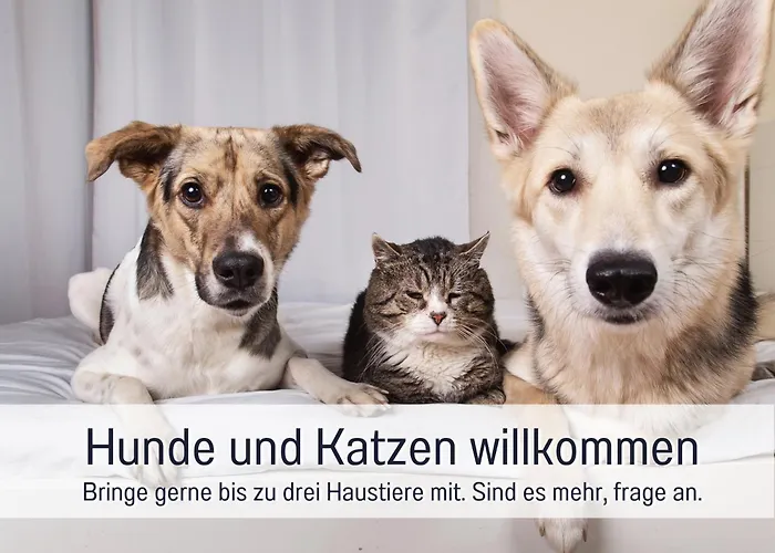Ferienwohnung Lichtinsel - Strandnah, Ebenerdig, Haustierfreundlich, Grosser Garten, Optimal Fuer Familien