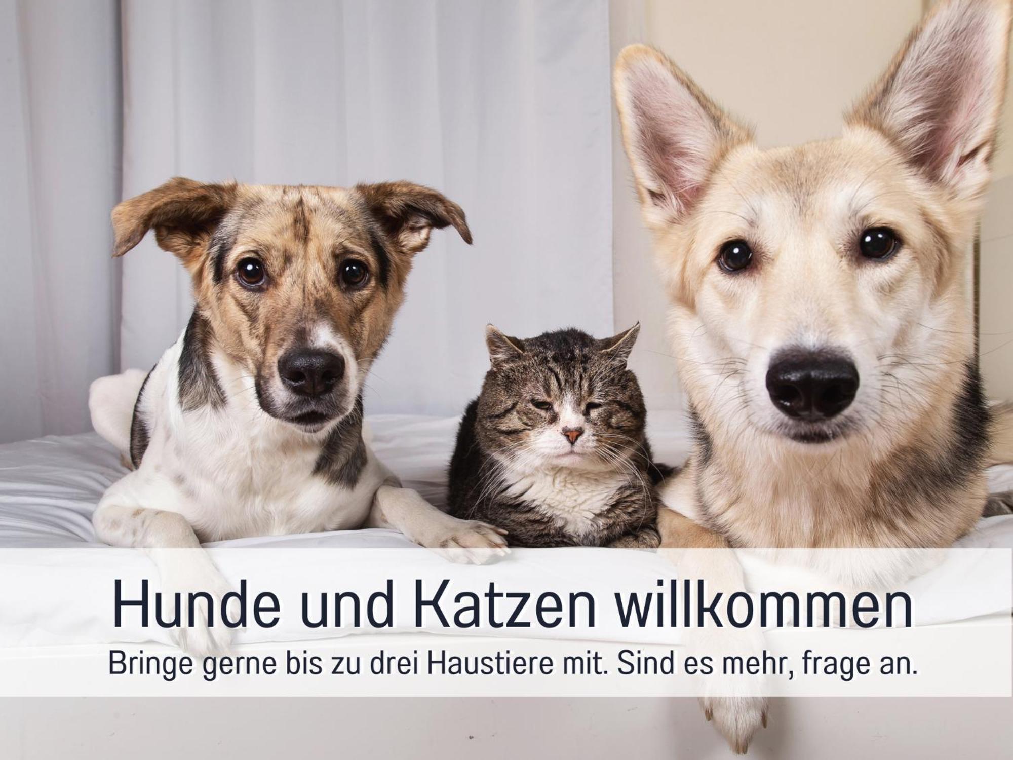 Lichtinsel: Strandnahe Familien-ferienwohnung Mit Garten * Steinberg (Schleswig-Holstein)