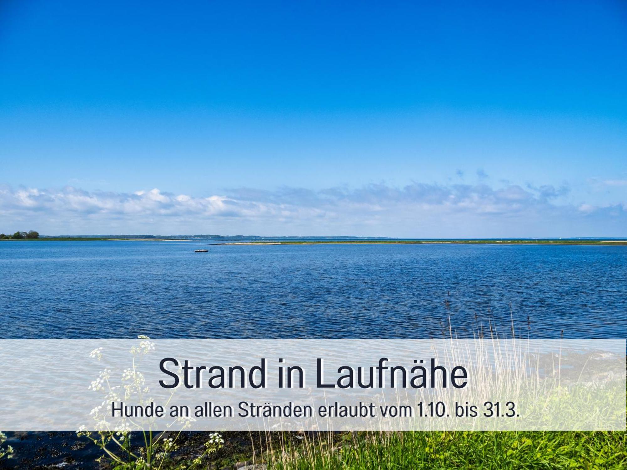 Lichtinsel: Strandnahe Familien-ferienwohnung Mit Garten * Steinberg (Schleswig-Holstein)