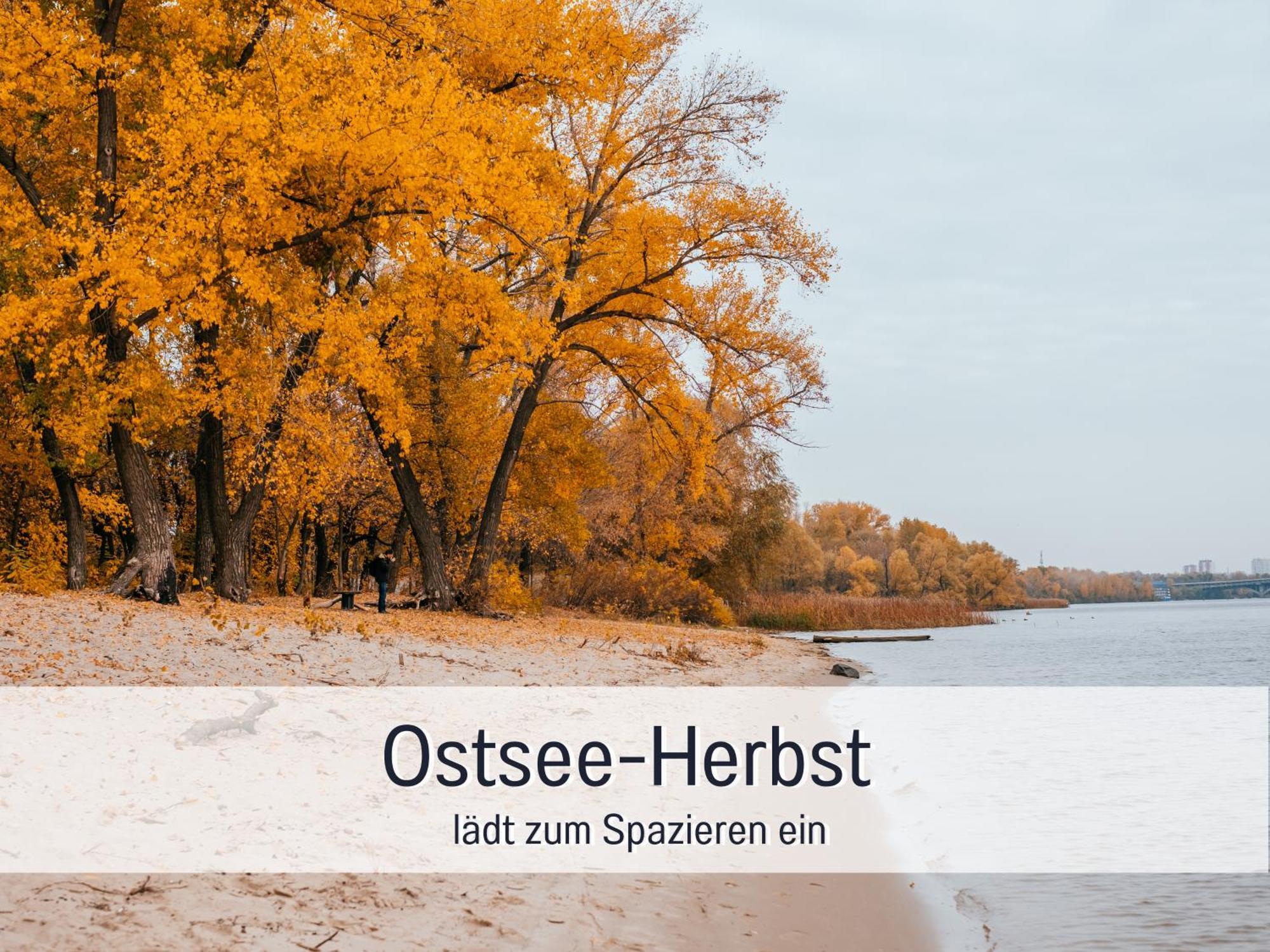 Apartment Lichtinsel: Strandnahe Familien-ferienwohnung Mit Garten *